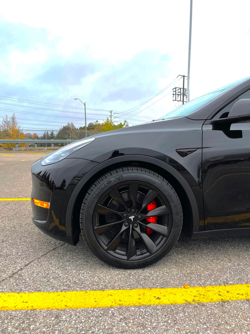 Model Y